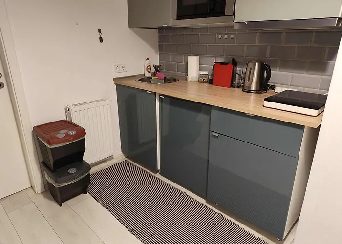 Blue 1 公寓 布拉索夫